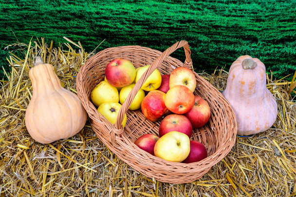 Twee verse biologische sinaasappelpompoenen en rode appels in een houten mandje op gedroogd gras te koop op een ossenmarkt, traditioneel voedsel gefotografeerd met zachte focus - Foto, afbeelding