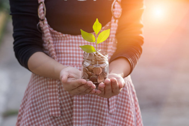 Hand holding with environment puting coins in jug glass planting a tree in a glass jar - Foto, afbeelding