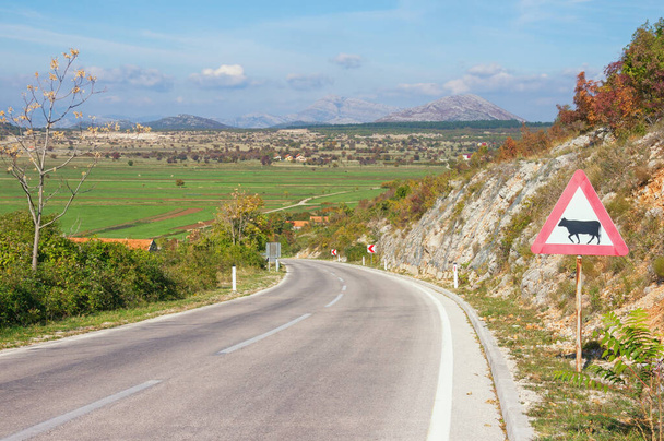 Un giro brusco de la carretera con una señal de advertencia relacionada con el ganado. Dinaric Alps, Bosnia y Herzegovina, Zubacko polje. Hermoso paisaje de otoño
 - Foto, imagen