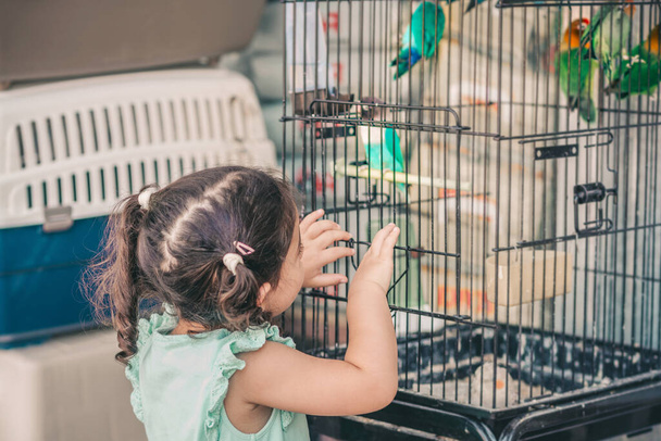 Little Cute Child Looking Colorful Parrot On Cage. - Foto, imagen