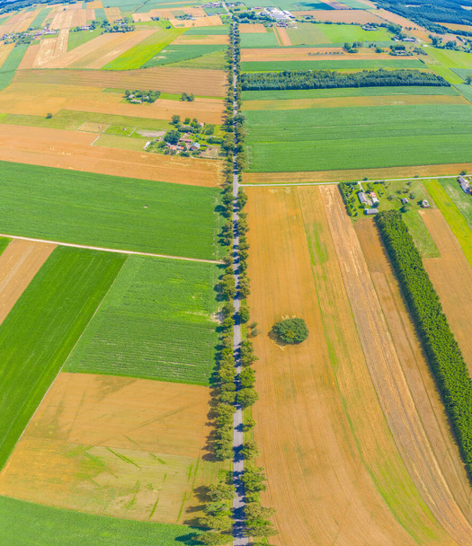 Vista aérea del paisaje de verano del campo agrícola verde con un camino de tierra y un cinturón forestal al atardecer, disparado desde un helicóptero como un ojo de pájaro, Foto panorámica sobre la parte superior de los campos, Vista del dron
 - Foto, imagen