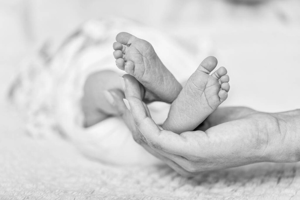 Baby feet in mother hands. Newborn baby's feet on female shaped hands closeup. Mom and her child. New family concept. Beautiful conceptual image of Maternity. - 写真・画像