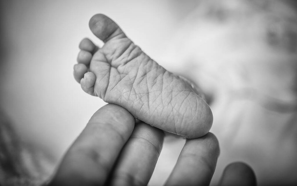 Un par de pies recién nacidos en una manta blanca y suave. Bebé recién nacido pies en tono cálido, estilo de imagen vintage
. - Foto, imagen