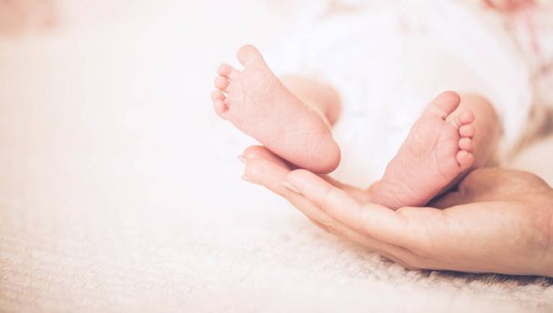 Feet of a newborn baby in the hands of parents. Happy Family oncept. Mum and Dad hug their baby's legs. - Photo, Image