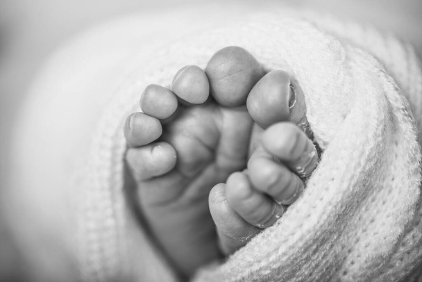 Un piedino di neonato. Morbidi piedi da neonato contro una coperta rosa. Piedi bambina con le dita dei piedi arricciate. Immagine ravvicinata. - Foto, immagini