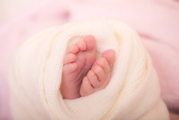 Newborn baby feet on soft blanket. Close up of newborn baby feet. Template for baby book or baby photo album. Close up image. - Photo, image