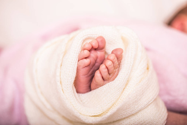 Pieds nouveau-nés sur une couverture souple. Gros plan sur les pieds du nouveau-né. Modèle pour livre bébé ou album photo bébé. - Photo, image