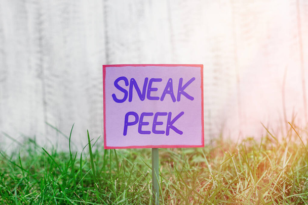 ［Sneak Peek］を示すテキスト記号。公に提示または公開される前に参照してください概念的な写真緑の芝生の土地に棒に接続され、配置されたプレーン空の紙. - 写真・画像