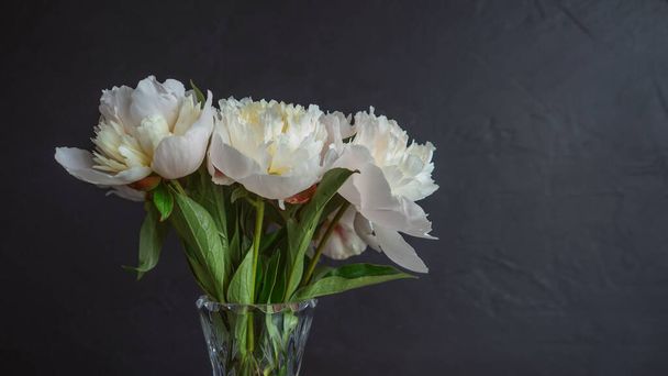 Beautiful and lush white peonies in a vase on a black background, - Fotoğraf, Görsel