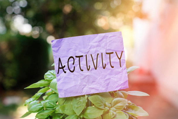Text sign showing Activity. Conceptual photo the condition where many things are happening or move around Plain empty paper attached to a stick and placed in the green leafy plants. - Photo, Image
