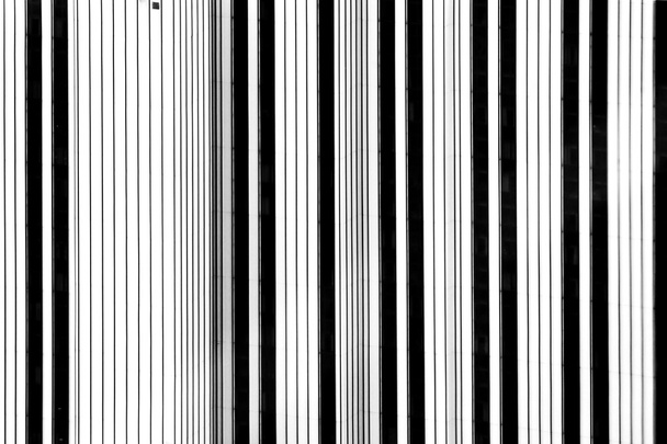 Black and white stripes - Photo, Image