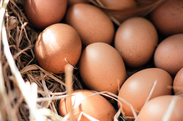 Zamknij Fresh farm jaj kurzych na gniazdo siana - Zdjęcie, obraz