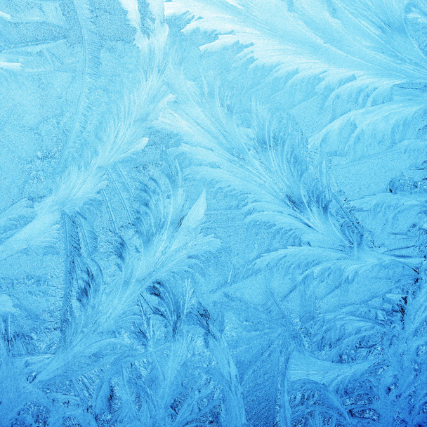 Украшение, раскрашенное в мороз на окне
 - Фото, изображение