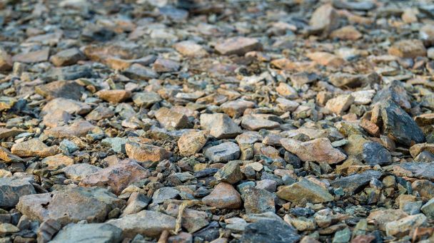 Rocky shore of the lake close up. Large and small stones are illuminated by the hot evening sun. Walk along the beach of a lake in Russia. - Foto, Imagem