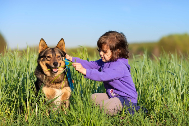 Happy little girl playing with dog - Foto, immagini
