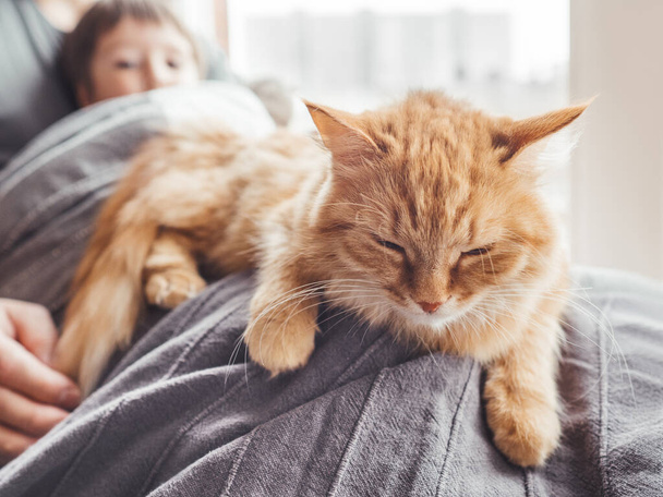 Father, son and they's cute ginger cat sit on window sill. Family relax under blanket. Man, toddler boy and fluffy pet at cozy home. - Foto, Imagem