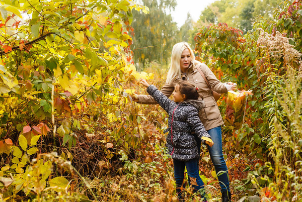 Mother and daughter walking in the autumn forest - Photo, Image