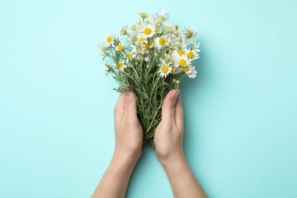 Woman holding chamomile bouquet on light background, top view - Foto, afbeelding