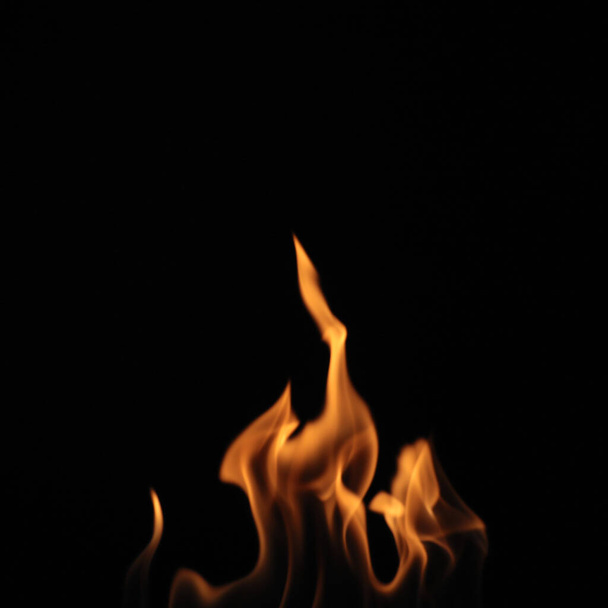 Beautiful bright fire flames on black background - Foto, Imagen
