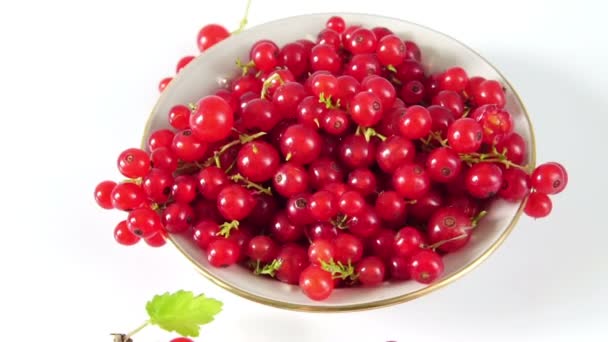 熟したおいしい赤いスグリの果実は白い背景に白いプレートに回転します. - 映像、動画
