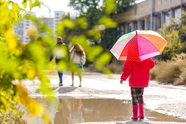 Adorable toddler girl with colorful umbrella outdoors at autumn rainy day - Photo, Image