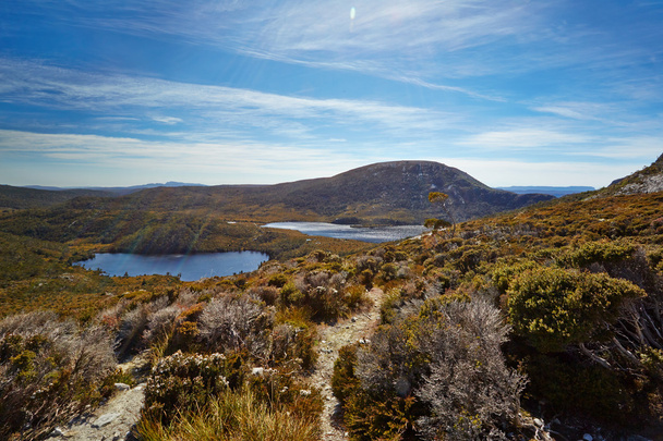Tartas alpinas en el sendero terrestre, montaña de la cuna, Tasmania
 - Foto, imagen