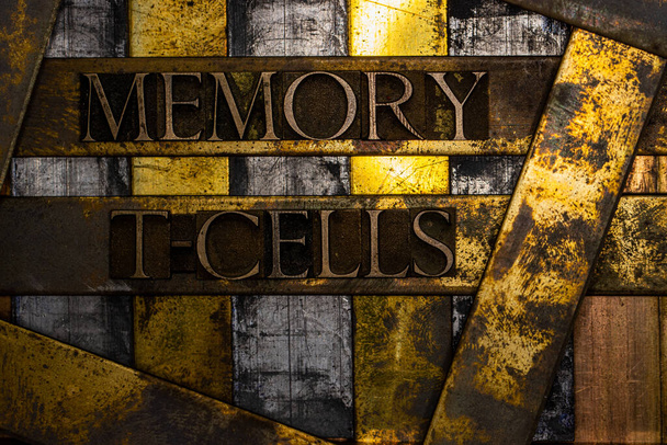 Memory T-Cells tekst gevormd met echte authentieke lettertype letters op vintage getextureerd zilver grunge koper en goud achtergrond - Foto, afbeelding