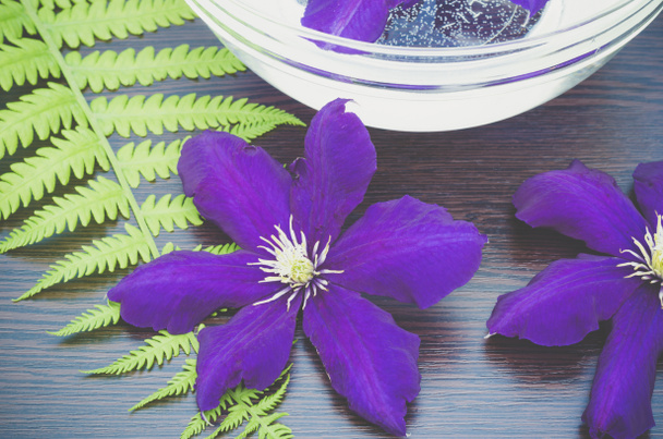 Wellness-Stillleben mit rosa Blüten. Eine große lila Blume und ein grünes Farnblatt auf einem braunen Holztisch. Thema Schönheit - Foto, Bild