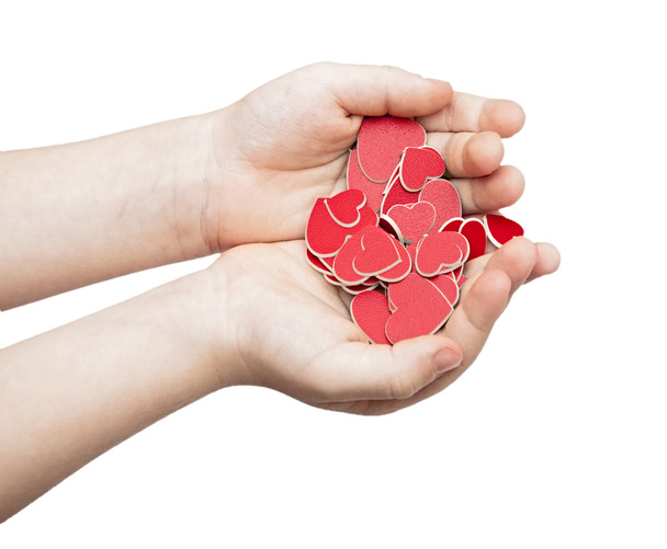 hands hold a many red hearts on white background - Photo, Image
