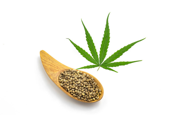 Feuille de chanvre et graines sur fond blanc, marijuana médicale. - Photo, image