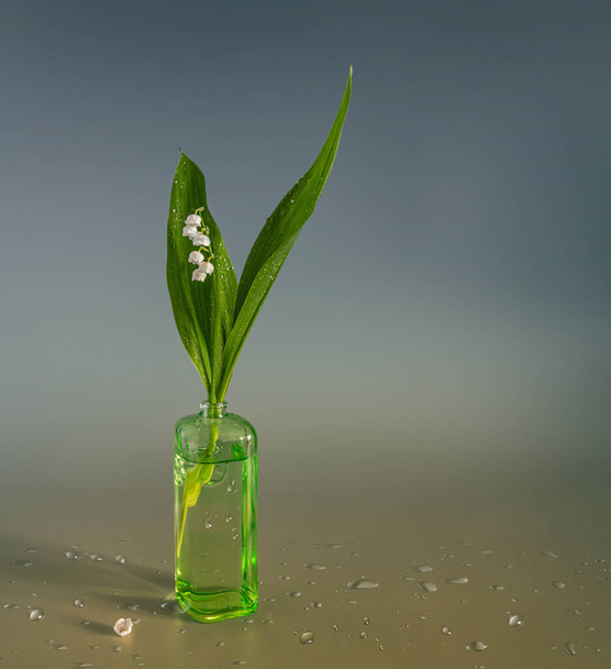 Still life with freshly cut lilies of the valley in dew drops. Spring flowers. - Foto, afbeelding