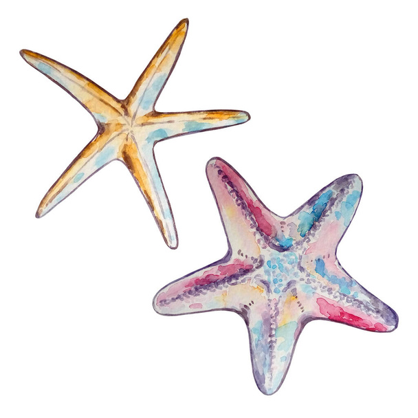watercolor two starfish pink purple and long yellow blue - Fotoğraf, Görsel