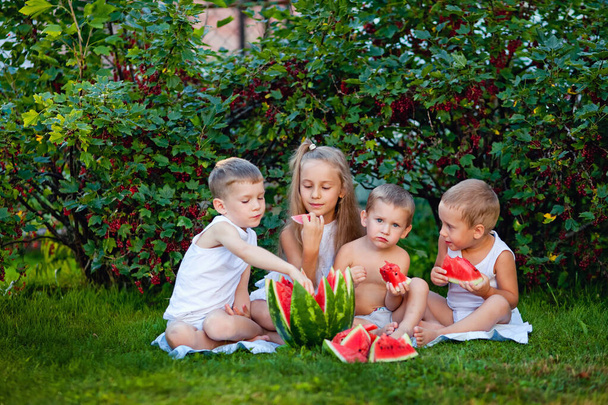 Quattro bambini in natura bianca si siedono sull'erba. I bambini divertenti mangiano anguria all'aperto in un parco estivo. Bambino, neonato, cibo sano. - Foto, immagini