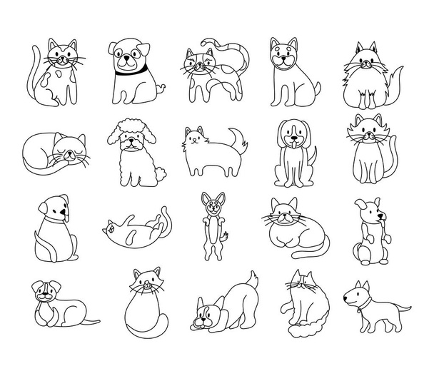 bundle of cats and dogs set icons - Vector, Image