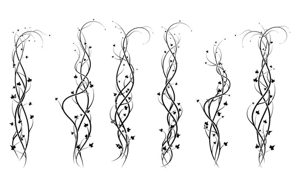 weaving curls plants ivy decoration ornament new version vector - Vector, Image