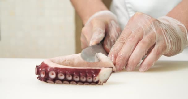 Closeup male hands of cook in gloves slicing fresh octopus on a white board - Materiał filmowy, wideo