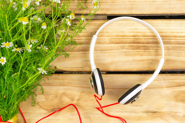 White headphones and a bouquet of field daisies. Wood background - Photo, image