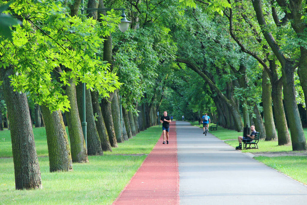 Kerl läuft auf Laufband im Stadtpark. Schöner Stadtpark mit Laufband und Bänken. Junger Mann läuft im Stadtpark. Urbane Natur. Gesunder Lebensstil - Foto, Bild