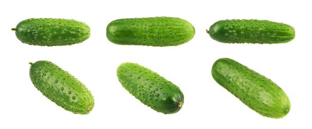 Green fresh cucumbers isolated - Photo, Image