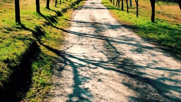 Одинокая женщина гуляет в конце горизонта на пустой проселочной дороге в солнечный весенний день.. - Кадры, видео
