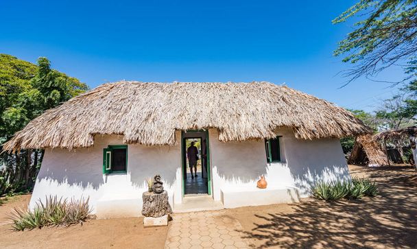 カリブ海の村に茅葺き屋根の伝統的な小屋  - 写真・画像