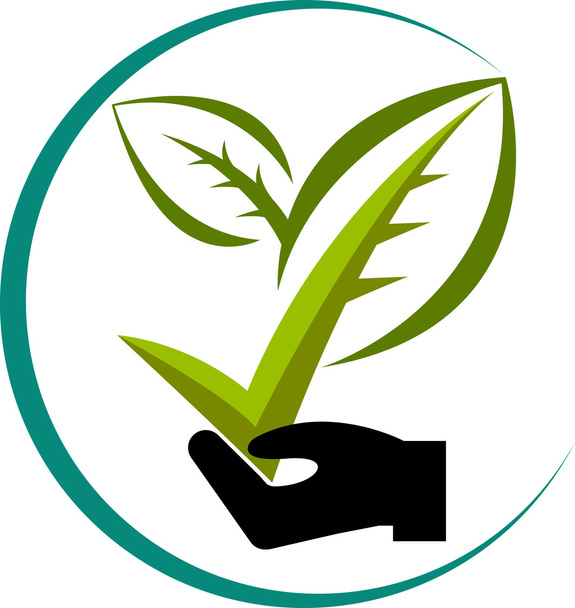 Plant approved - Vetor, Imagem