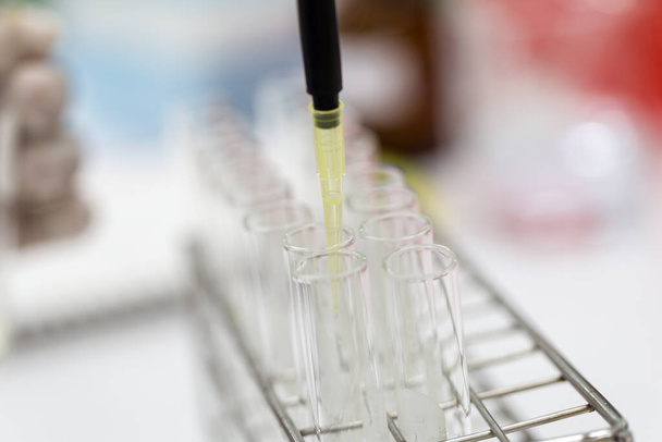 Polymerase Chain Reaction (PCR) i Agarose gel electrophoresis jest metodą gel electrophoresis używać w biochemia, cząsteczkowa biologia, genetyka i kliniczna chemia w laboratorium. - Zdjęcie, obraz
