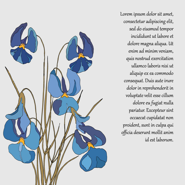 tło dla tekstu, sztandar na pozdrowienia, z bukietem fiołków kwiaty - Wektor, obraz