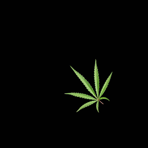 Sur fond noir, une belle feuille de cannabis texturée.Applique sur fond noir. - Photo, image