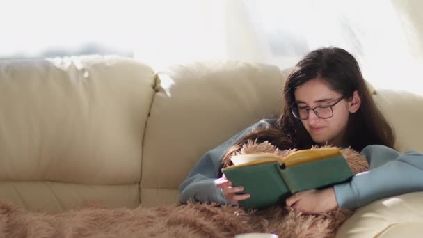 Brunette tyttö lasit istuu sohvalla lukemassa kirjaa, kääntämällä sivuja, kopioi tilaa, kameran liikettä - Materiaali, video