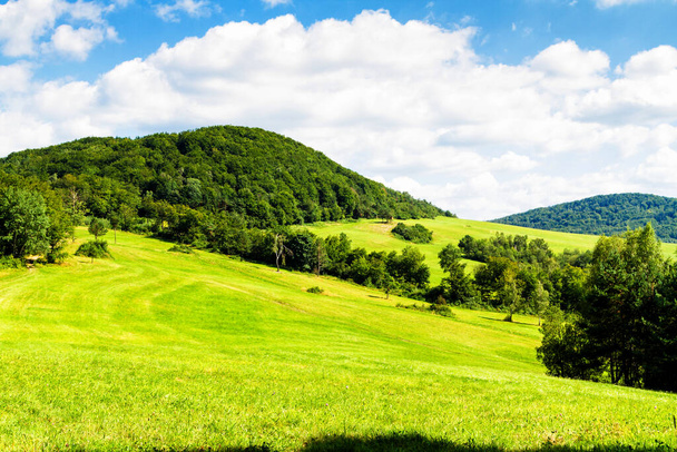 Mountains scenery. Panorama of grassland and forest in Beskid Niski mountains. Carpathian mountains landscape, Poland. - Photo, image