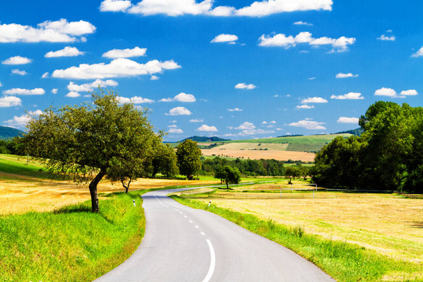Панорамний вид на дорогу, що веде через гори Бескид-Ніскі на кордоні Польщі та Словаччини. - Фото, зображення