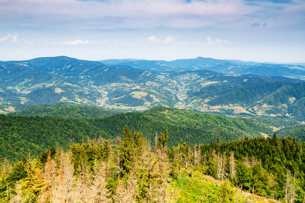 Mountains scenery. Panorama of grassland and forest in Gorce mountains. Carpathian mountains landscape, Poland. Gorczanski National Park, Poland - Φωτογραφία, εικόνα