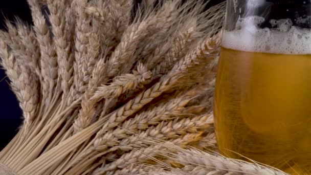 Pivo s pěnou a pšenicí - Záběry, video